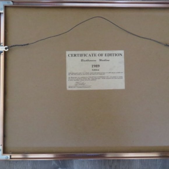 Blackburnian Warblers Paul Harpley Framed Birds Print 1989 (K373) - Picture 6 of 8